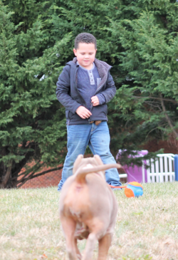 An XL AMerican Bully and it's human friend