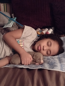 a little girl sleeping with her xl bully puppy
